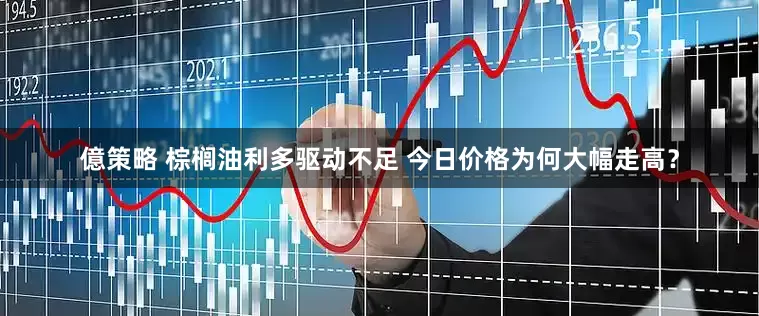 億策略 棕榈油利多驱动不足 今日价格为何大幅走高？
