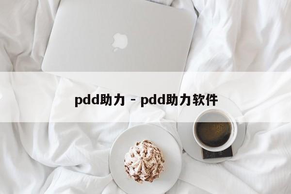 pdd助力 - pdd助力软件